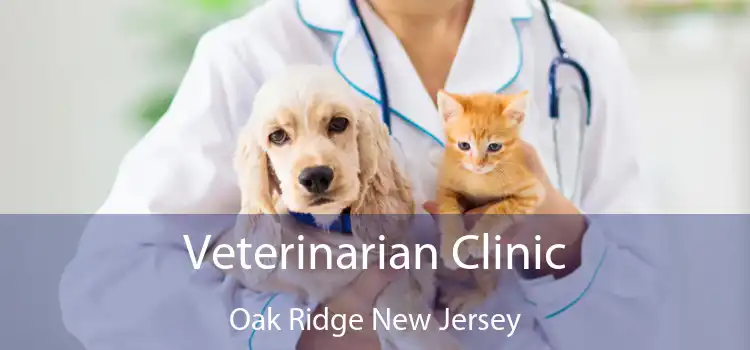 Veterinarian Clinic Oak Ridge New Jersey