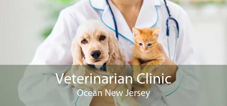 Veterinarian Clinic Ocean New Jersey