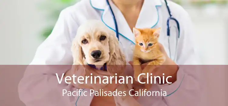 Veterinarian Clinic Pacific Palisades California