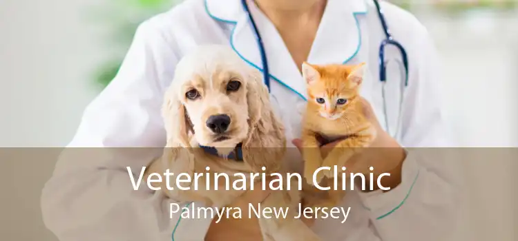Veterinarian Clinic Palmyra New Jersey