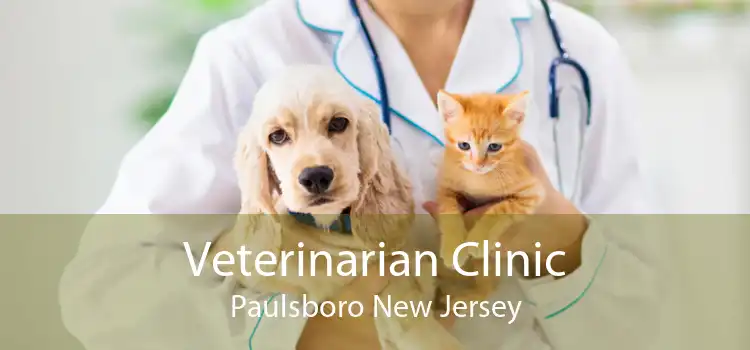 Veterinarian Clinic Paulsboro New Jersey