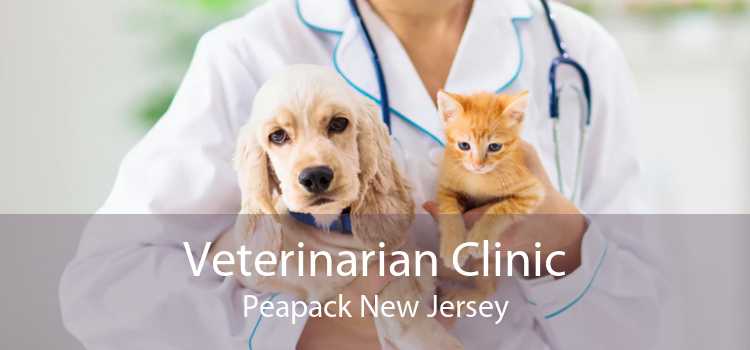 Veterinarian Clinic Peapack New Jersey