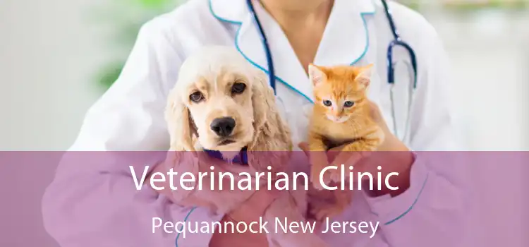Veterinarian Clinic Pequannock New Jersey