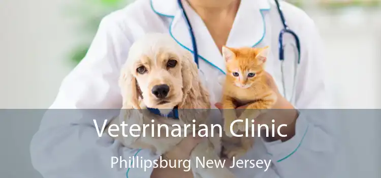 Veterinarian Clinic Phillipsburg New Jersey
