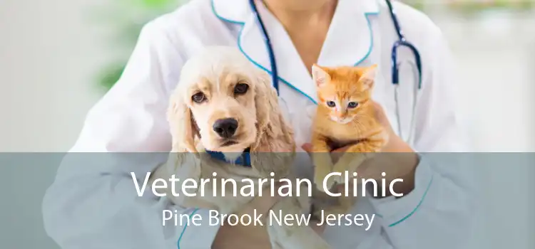 Veterinarian Clinic Pine Brook New Jersey