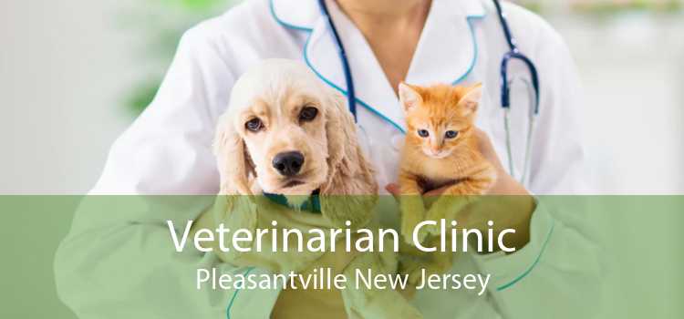 Veterinarian Clinic Pleasantville New Jersey