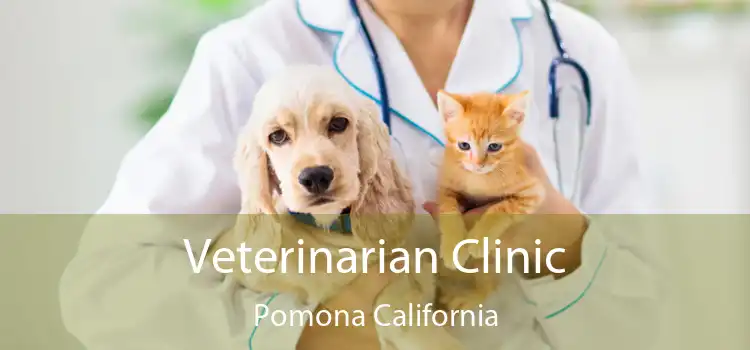 Veterinarian Clinic Pomona California