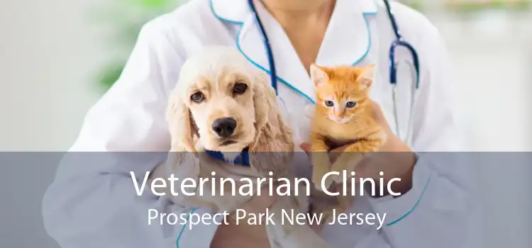 Veterinarian Clinic Prospect Park New Jersey