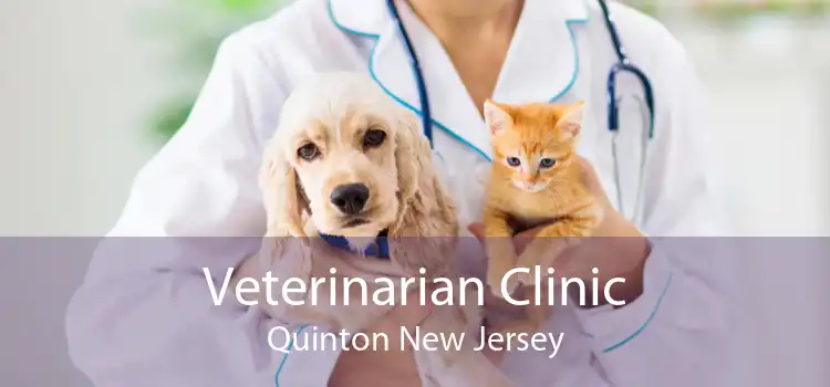 Veterinarian Clinic Quinton New Jersey