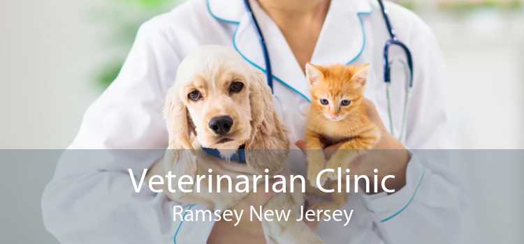 Veterinarian Clinic Ramsey New Jersey