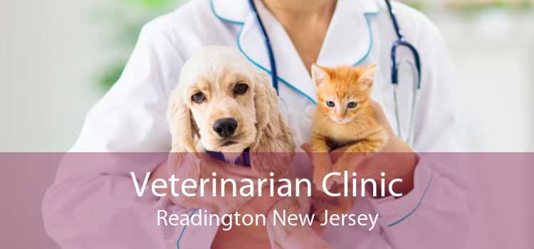 Veterinarian Clinic Readington New Jersey