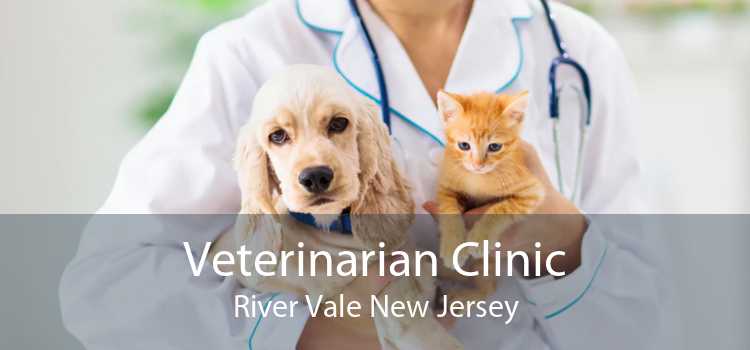Veterinarian Clinic River Vale New Jersey
