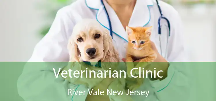 Veterinarian Clinic River Vale New Jersey