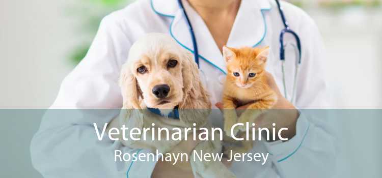 Veterinarian Clinic Rosenhayn New Jersey