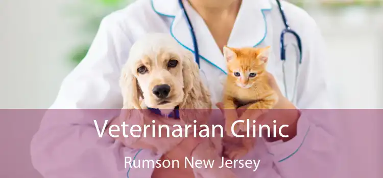 Veterinarian Clinic Rumson New Jersey