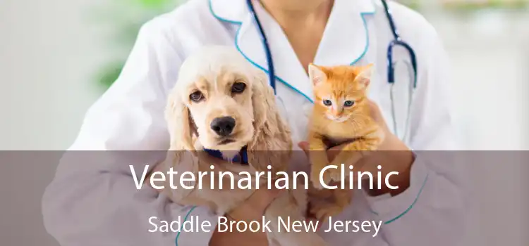 Veterinarian Clinic Saddle Brook New Jersey