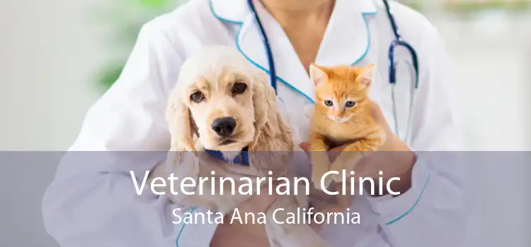 Veterinarian Clinic Santa Ana California