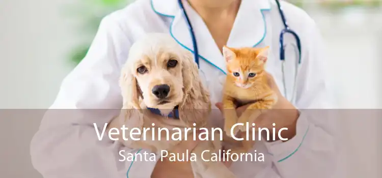 Veterinarian Clinic Santa Paula California