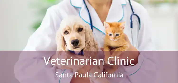 Veterinarian Clinic Santa Paula California