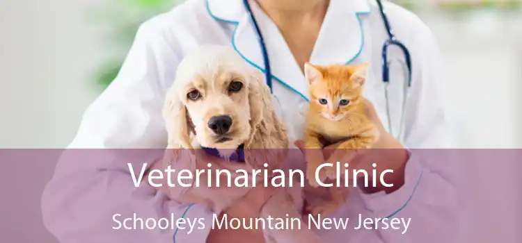 Veterinarian Clinic Schooleys Mountain New Jersey