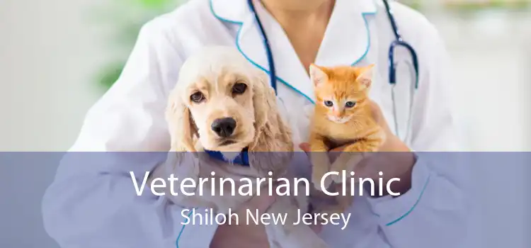 Veterinarian Clinic Shiloh New Jersey