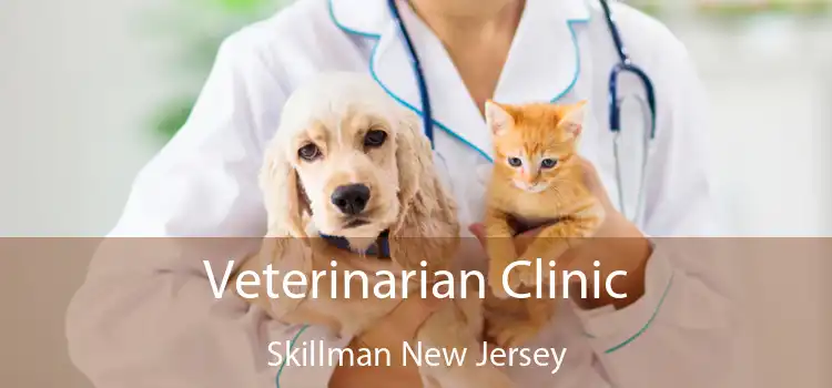 Veterinarian Clinic Skillman New Jersey