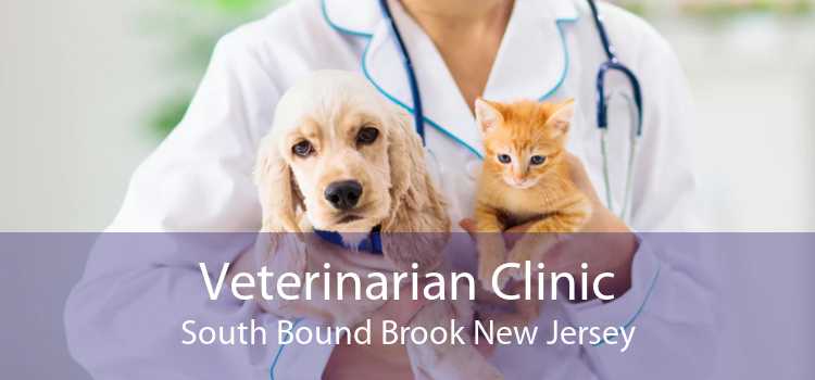 Veterinarian Clinic South Bound Brook New Jersey