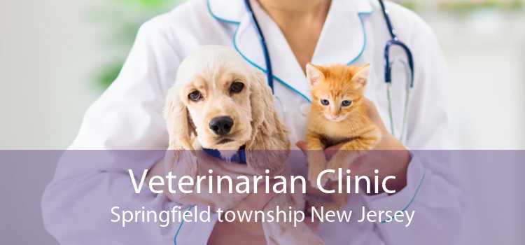 Veterinarian Clinic Springfield township New Jersey