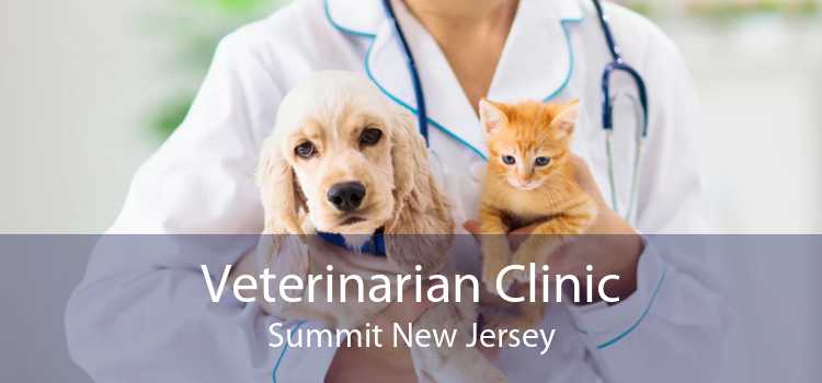 Veterinarian Clinic Summit New Jersey