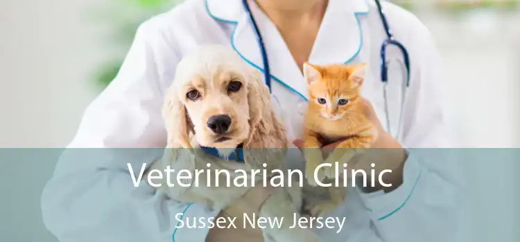 Veterinarian Clinic Sussex New Jersey