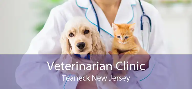 Veterinarian Clinic Teaneck New Jersey