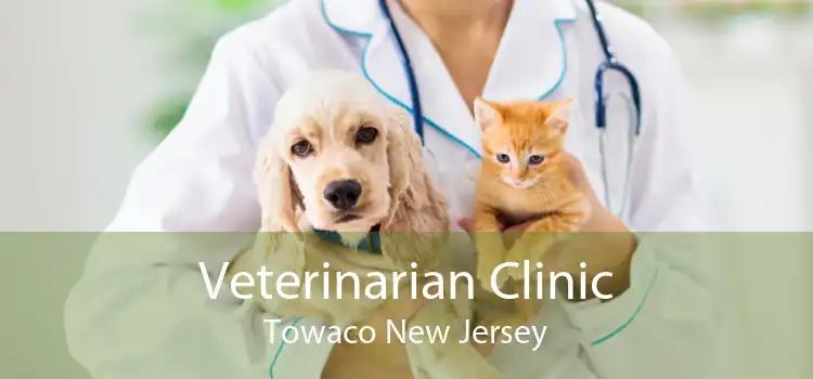Veterinarian Clinic Towaco New Jersey