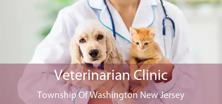 Veterinarian Clinic Township Of Washington New Jersey