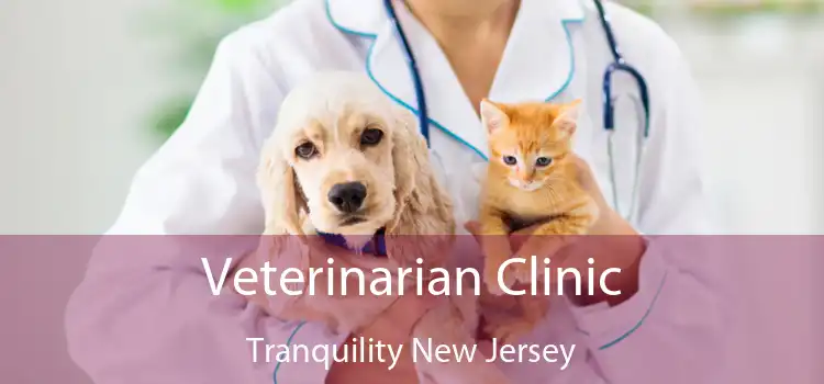 Veterinarian Clinic Tranquility New Jersey