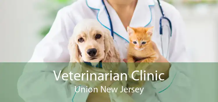 Veterinarian Clinic Union New Jersey
