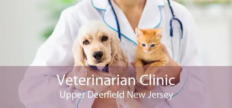 Veterinarian Clinic Upper Deerfield New Jersey