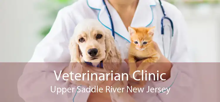 Veterinarian Clinic Upper Saddle River New Jersey