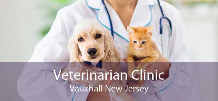 Veterinarian Clinic Vauxhall New Jersey