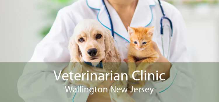 Veterinarian Clinic Wallington New Jersey