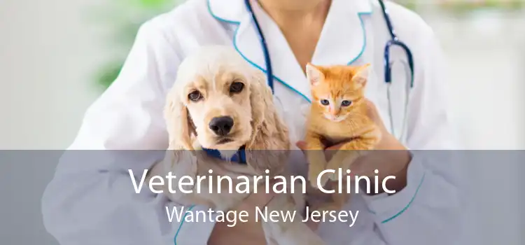 Veterinarian Clinic Wantage New Jersey