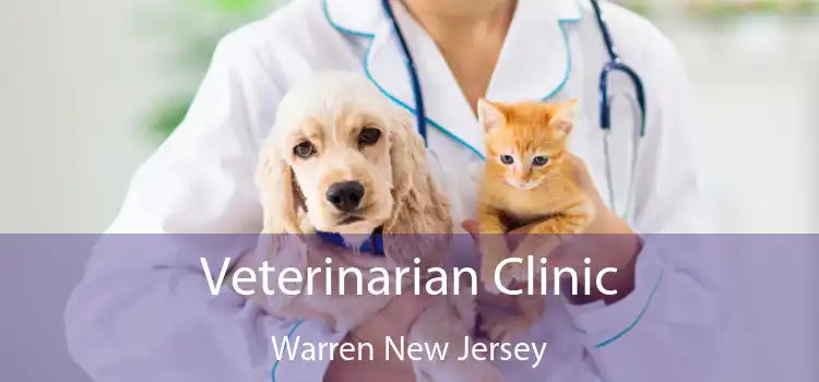 Veterinarian Clinic Warren New Jersey