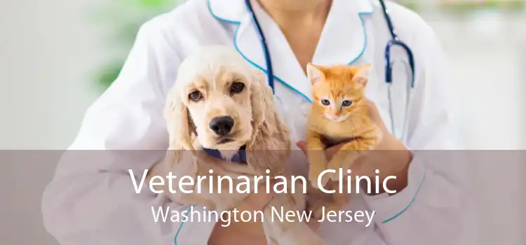 Veterinarian Clinic Washington New Jersey