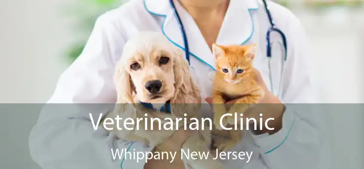 Veterinarian Clinic Whippany New Jersey