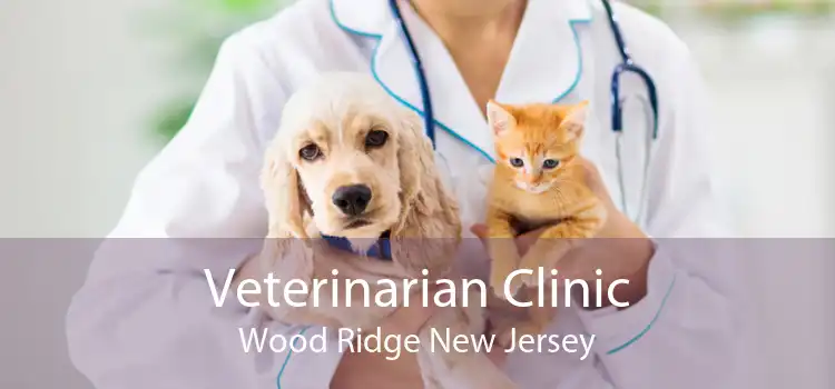Veterinarian Clinic Wood Ridge New Jersey