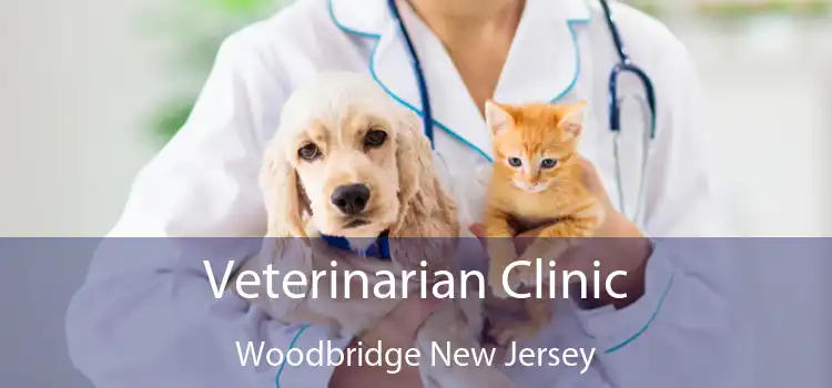 Veterinarian Clinic Woodbridge New Jersey