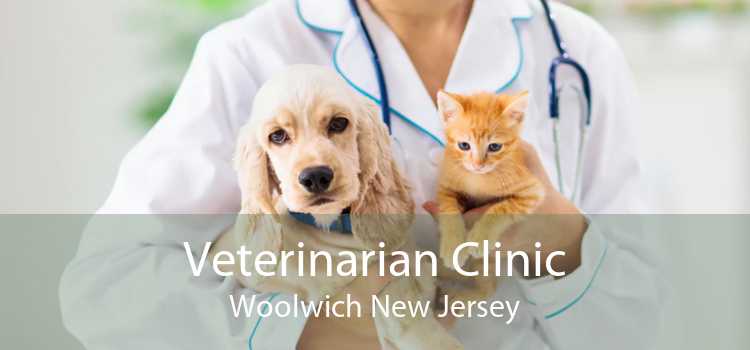 Veterinarian Clinic Woolwich New Jersey