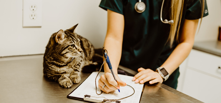 animal hospital nutritional consulting in Washington township
